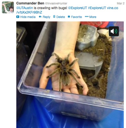 Using Vine and Twitter at UT Austin during Explore UT