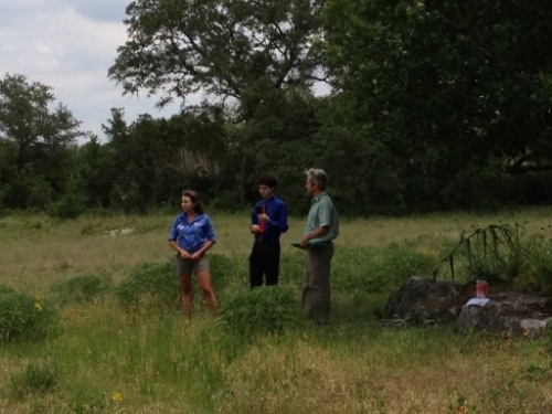 We practiced identifying sample invasive plants in a field outside of the Wildflower Center
