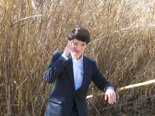 Commander Ben searches his Sherlock mind palace for ways to defeat invasive species