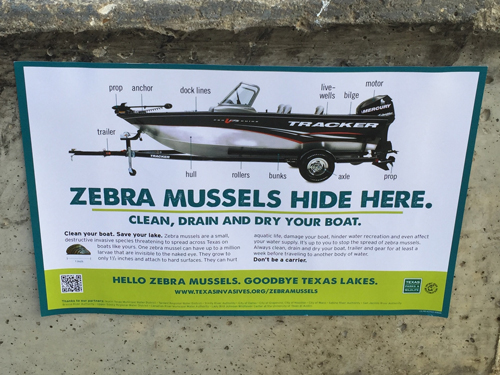 I put up a poster about Zebra Mussels from the Texas Parks and Wildlife Department