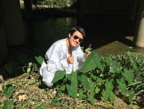 Eating invasive species is a great way to get rid of them